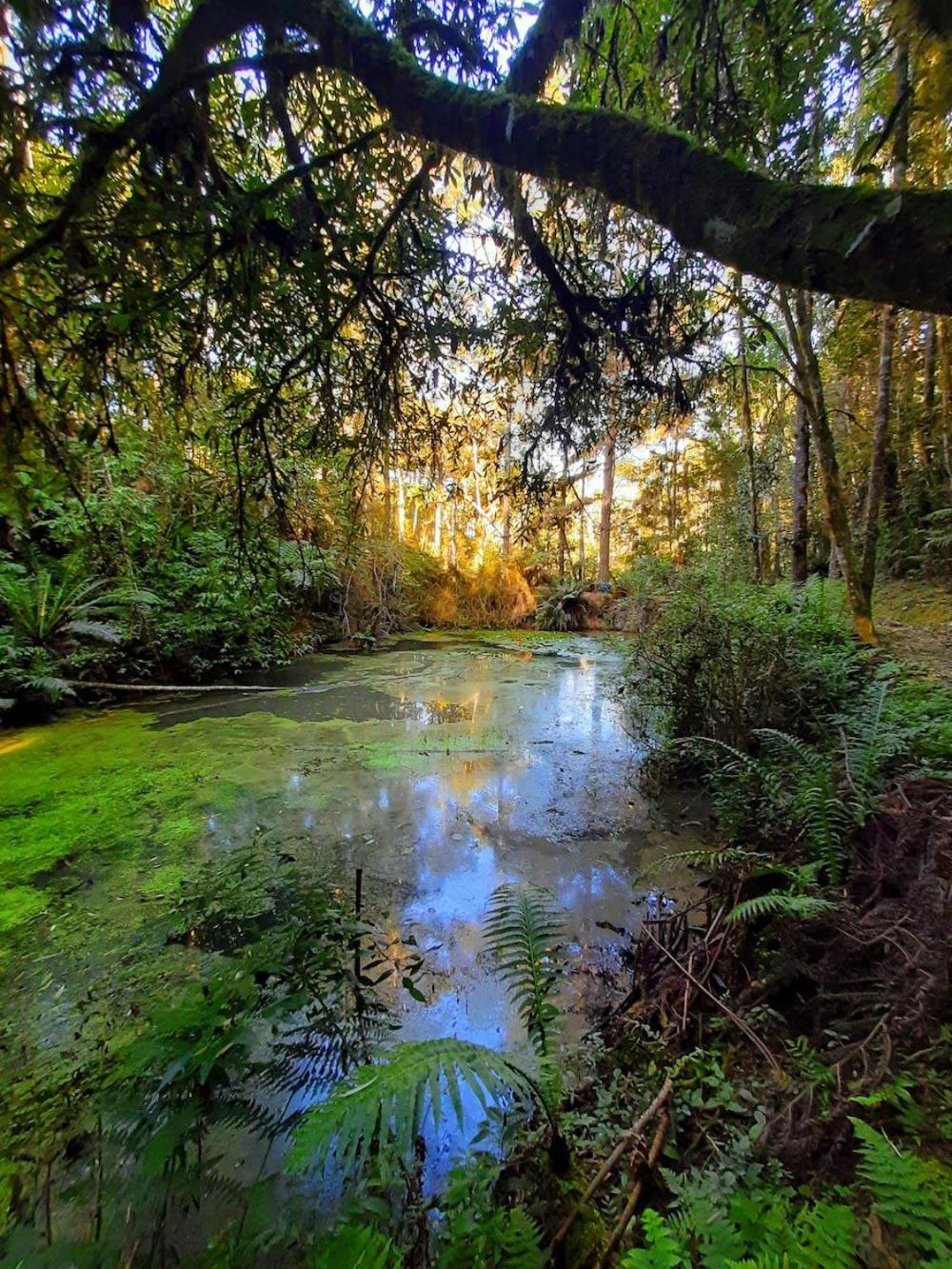 Recanto Paraiso Aventuras Rio Negrinho Zewnętrze zdjęcie